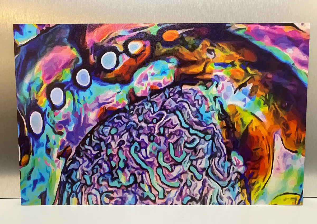Abalone