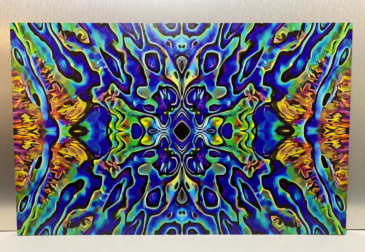 Blue Abalone