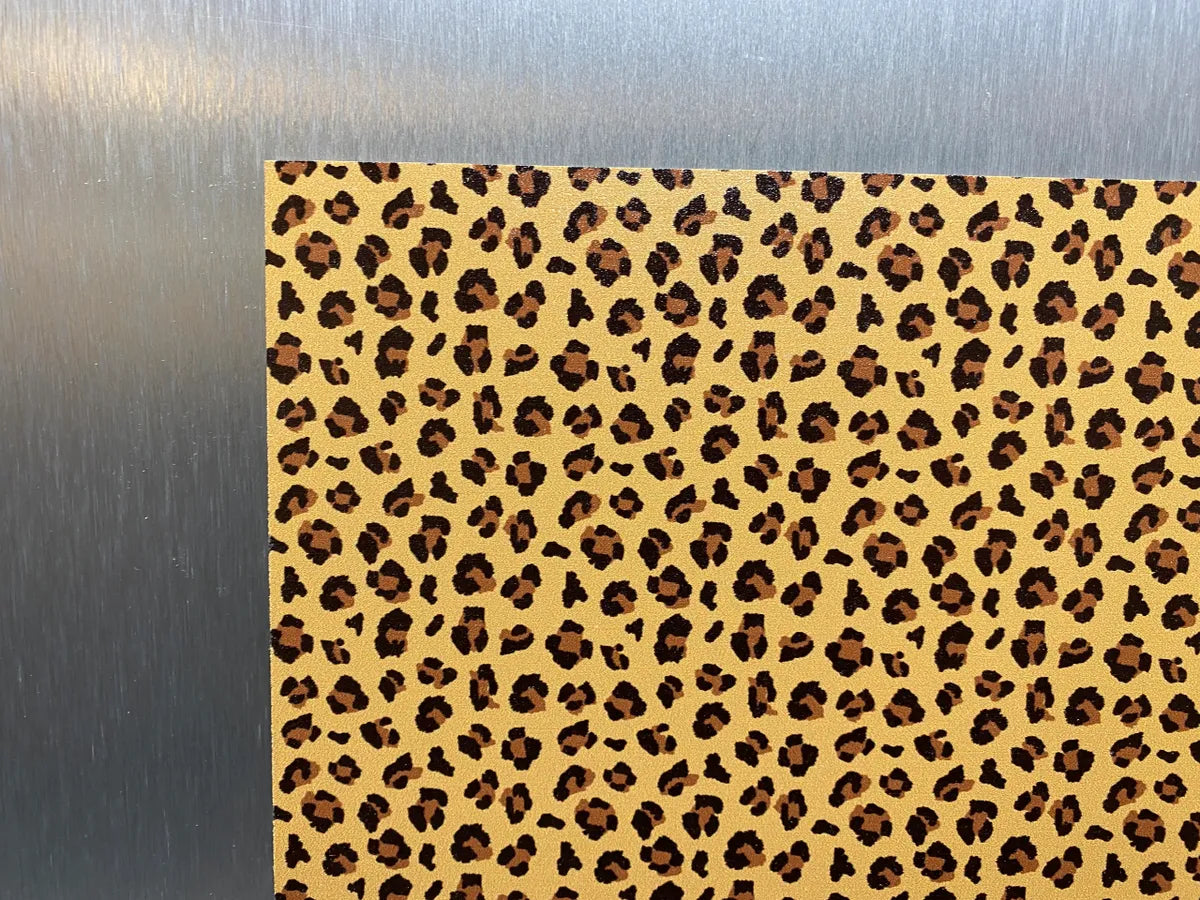 Cheetah 2