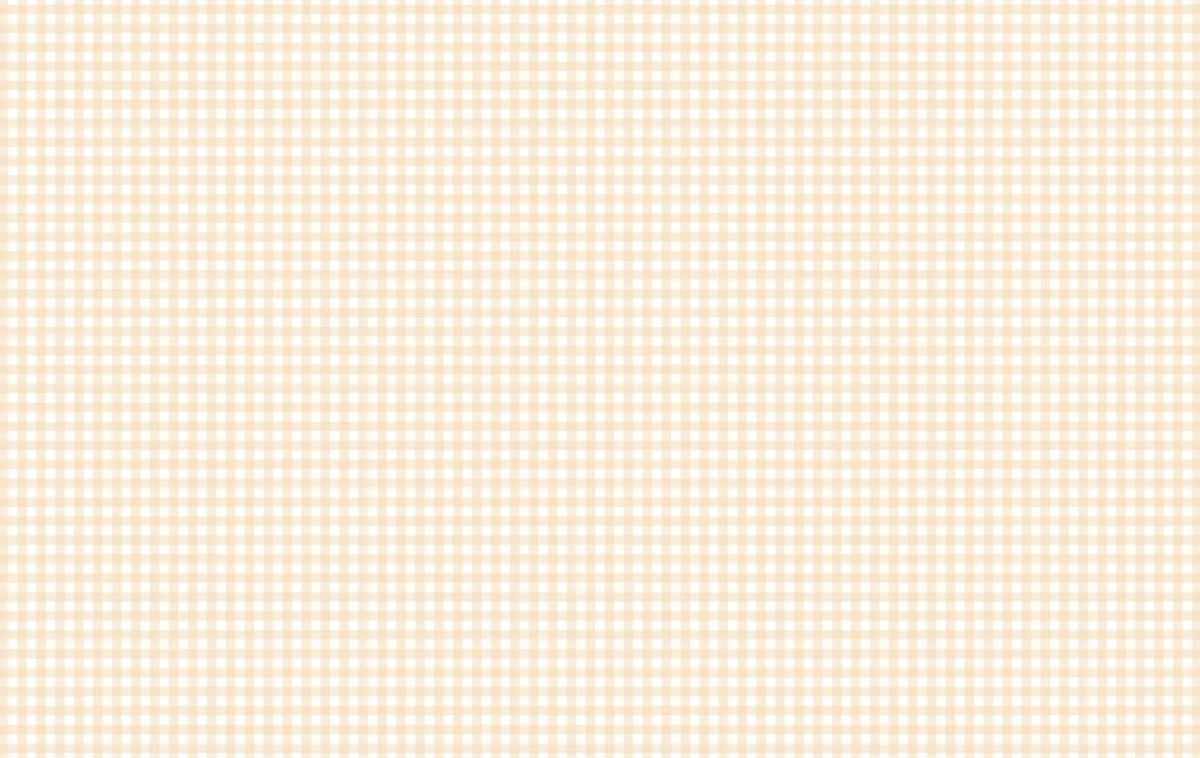 Pastel Peach Gingham