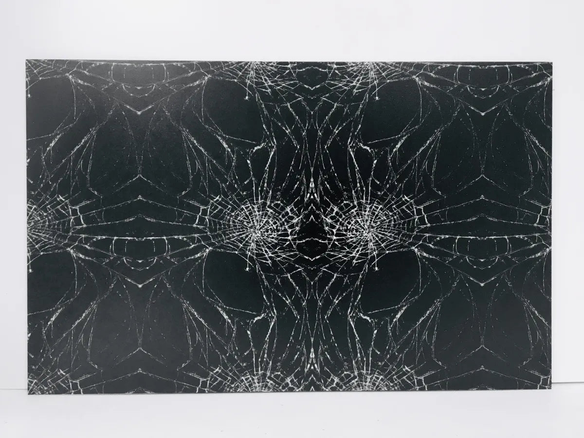 Spooky Spirderweb
